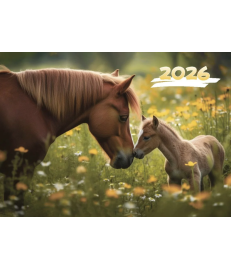 Calendar de perete MAMA CU MINZUL, 2026, cu 3 sectii